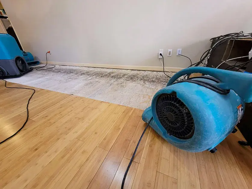 Roof and ceiling leak dry-out in University Park, Dallas