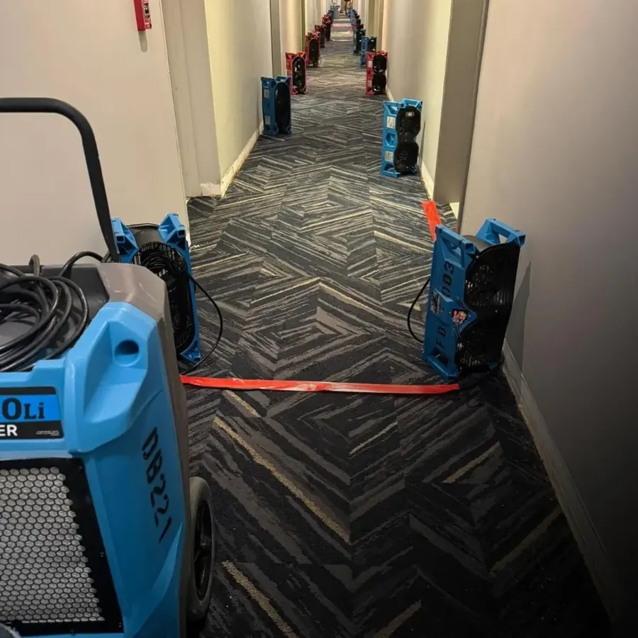 Air movers and dehumidifiers drying a Dallas home to a verified standard